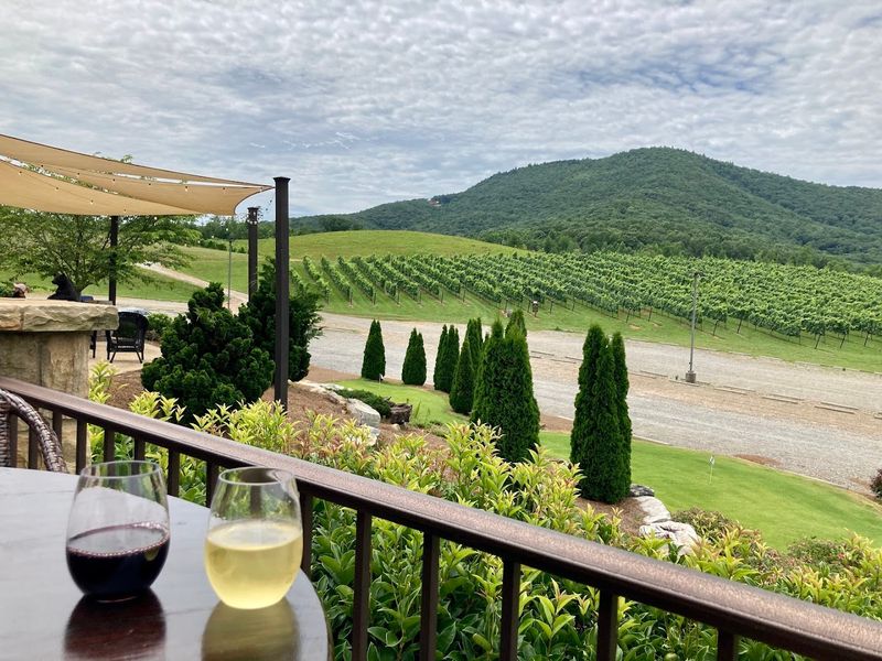 The Wines Themselves: Quality That Surprises Even the Skeptics