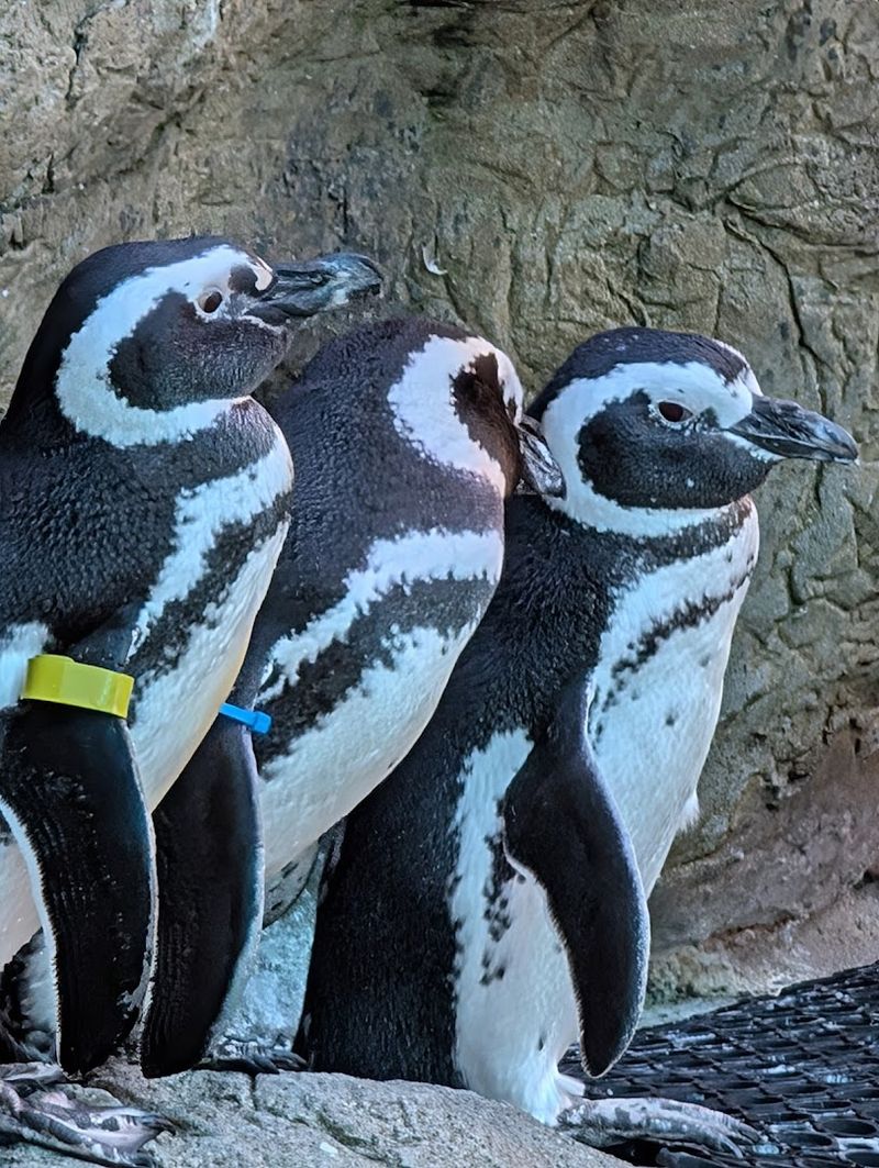 Events That Keep Regulars Coming Back