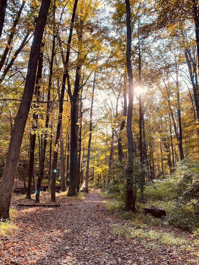 Hiking Trails for Every Skill Level