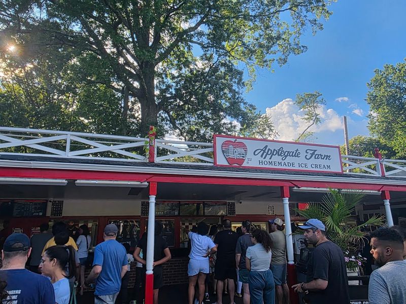 Lines, Crowds, and How to Handle Them