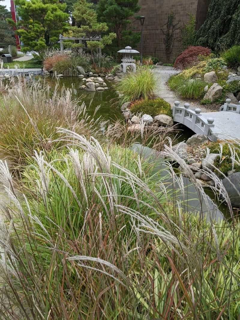 Practical Tips for Getting the Most Out of Your Visit