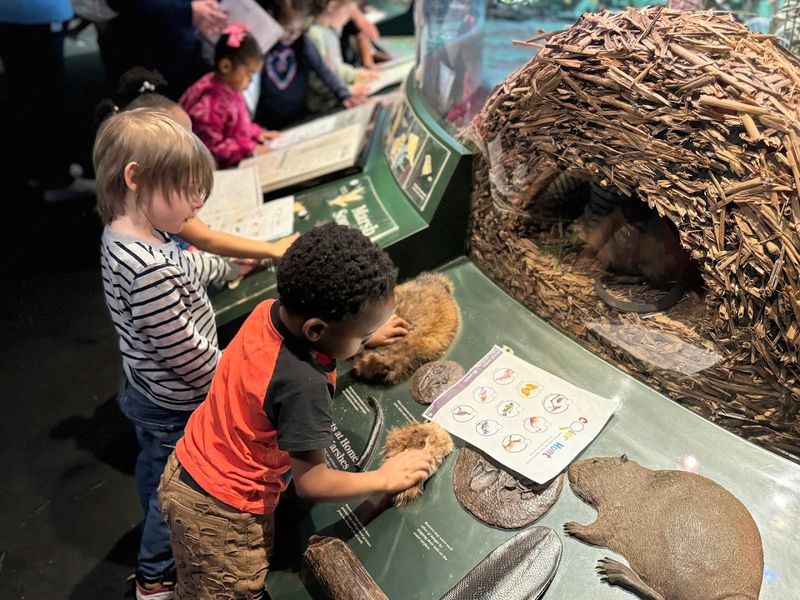 Three Floors of Surprises That Reward Slow Exploration