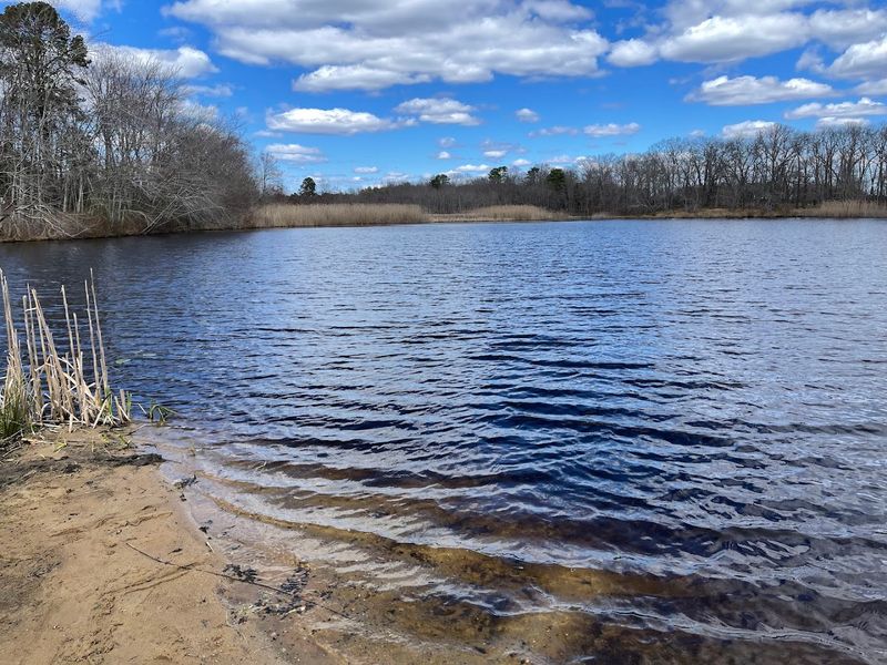 Fishing the Lakes and Ponds