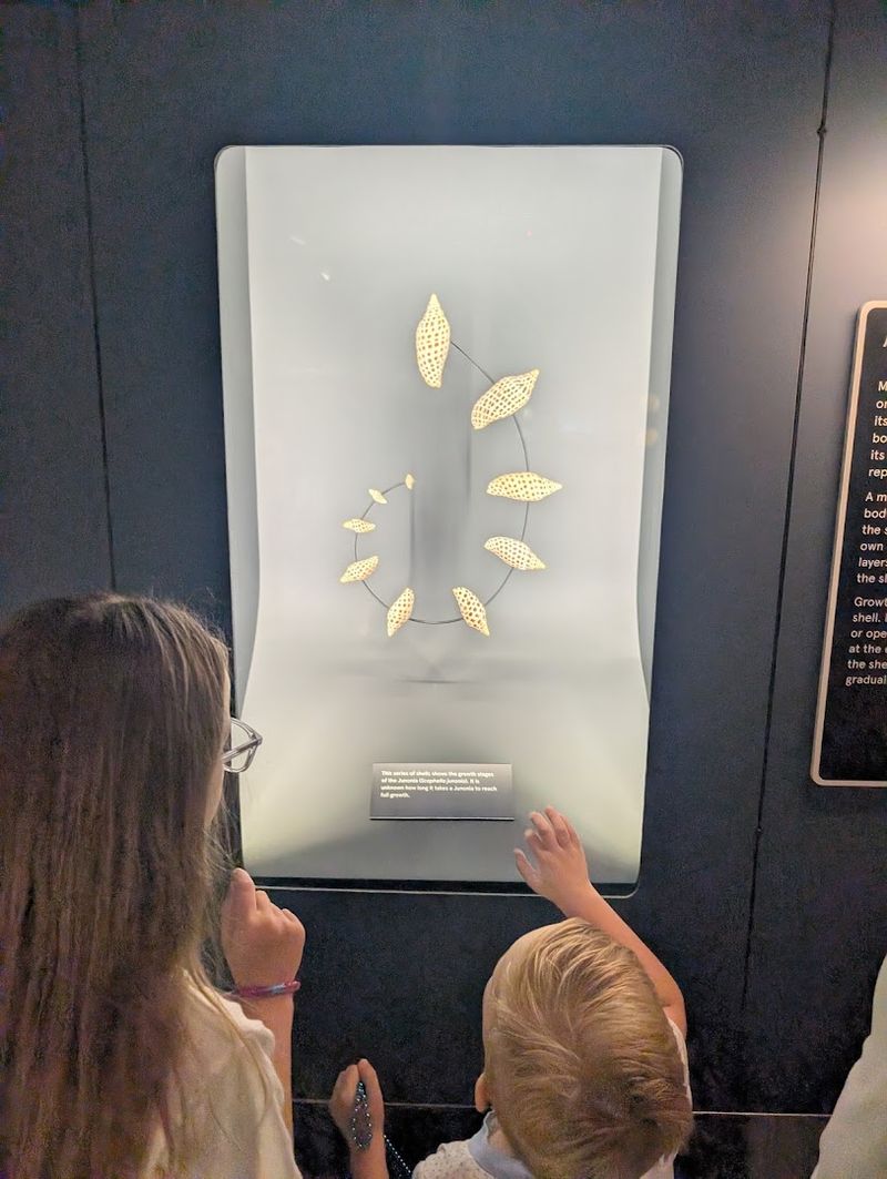 The Discovery Cart and Interactive Elements for Younger Visitors