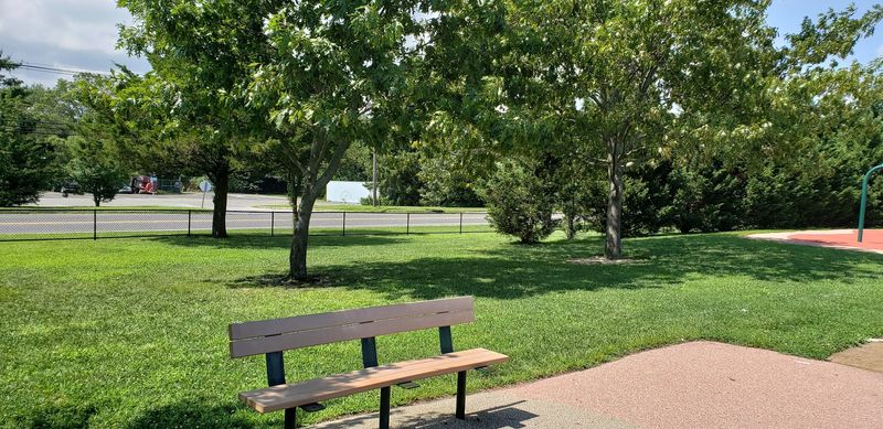 Shade, Seating, and the Picnic Setup That Makes Long Visits Comfortable