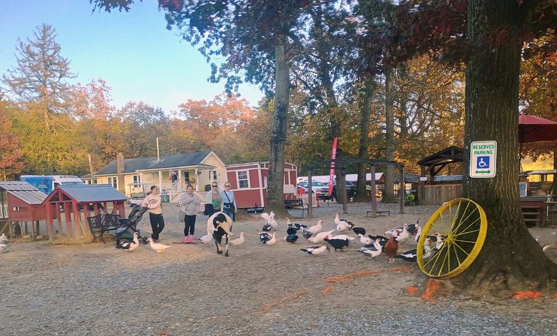 A Place That Welcomes All Ages