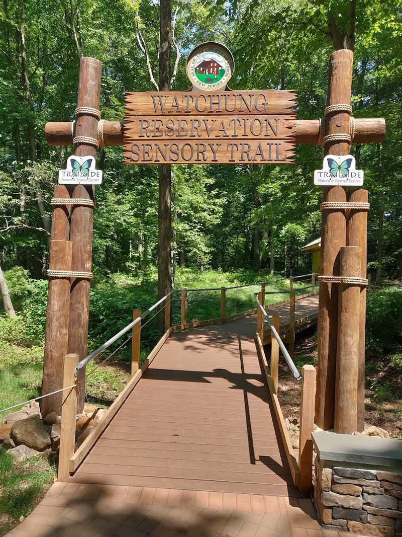 The Sensory Trail Built for Young Explorers