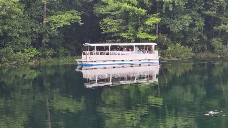 Boat Tours Through Old Florida Wilderness