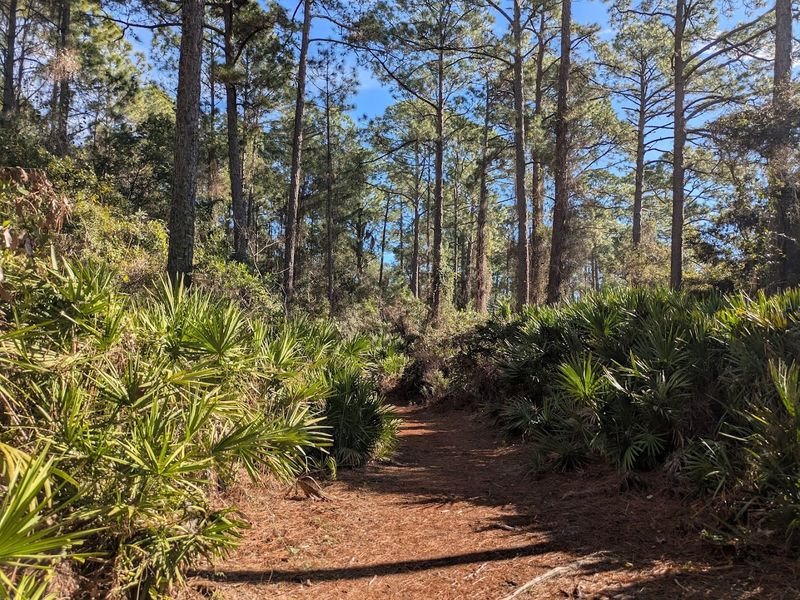 Connecting to Theodore Roosevelt Area: Extending Your Adventure