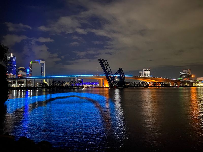 Dolphin Sightings That Nobody Warns You About