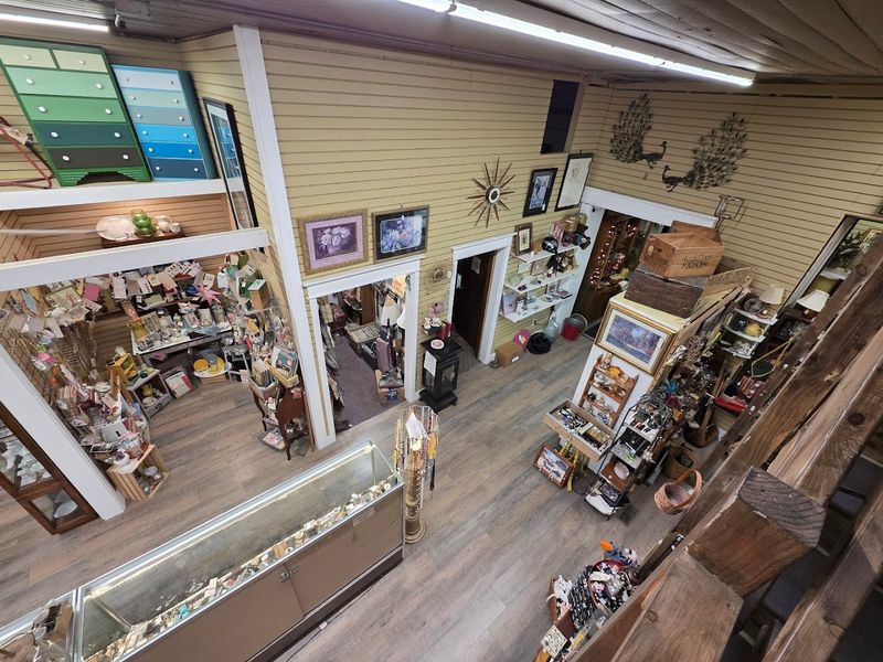 Meet the Shop Cat Who Rules the Aisles