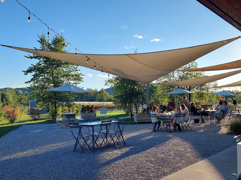 Events and Live Music That Bring the Community Together