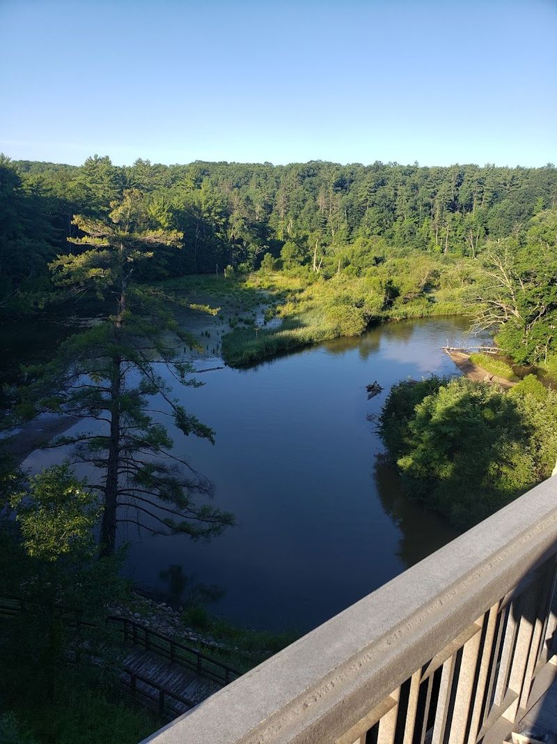 Wildlife Encounters That Will Catch You Off Guard