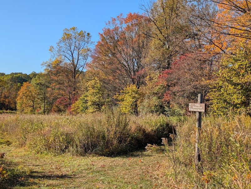 Gardens That Change With Every Season