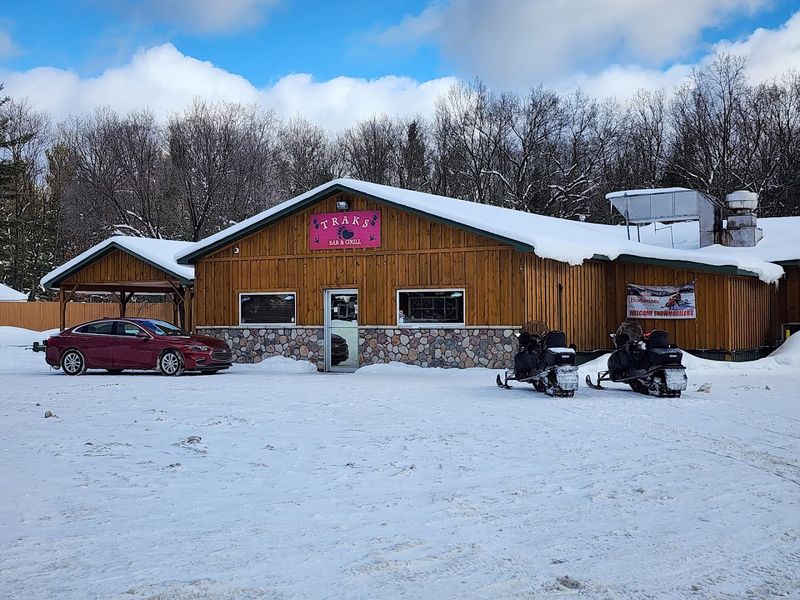 A Forest Setting That Sets the Mood Immediately