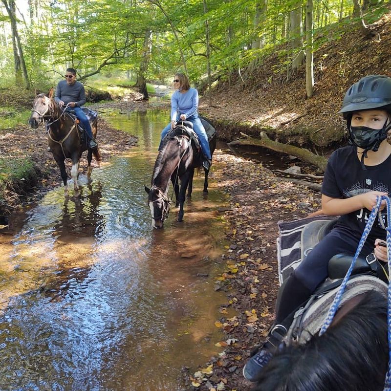 Trail Rides That Actually Deliver