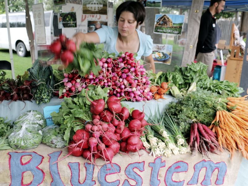 Certified Organic From the Start: What That Label Really Means Here