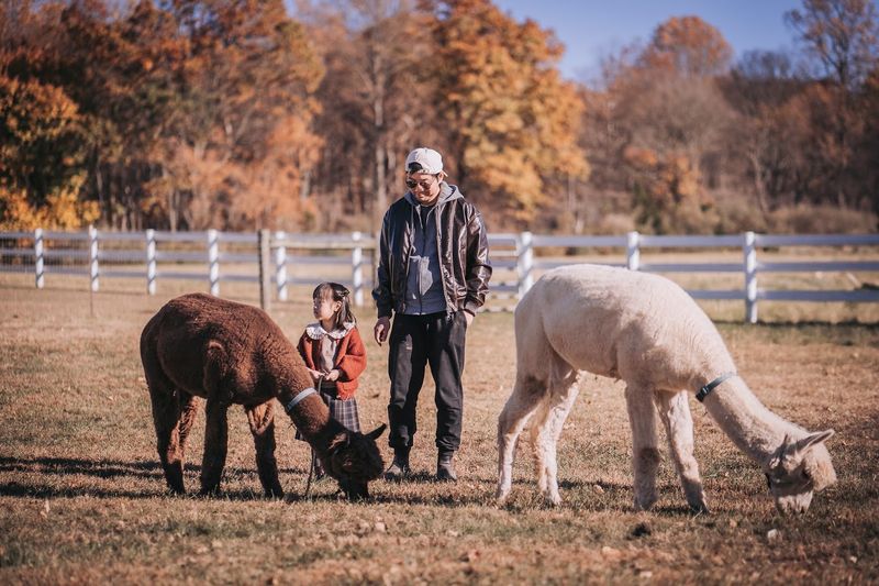 What the Farm Actually Looks Like Up Close