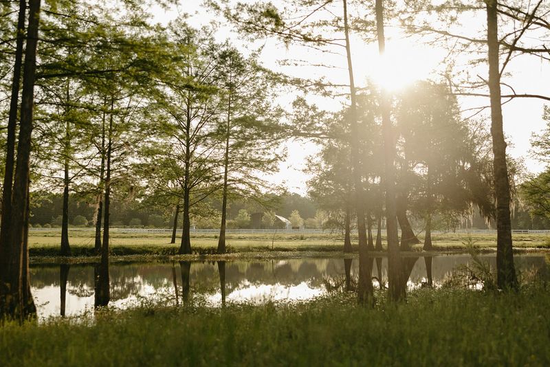 330 Acres of Pure Florida Countryside