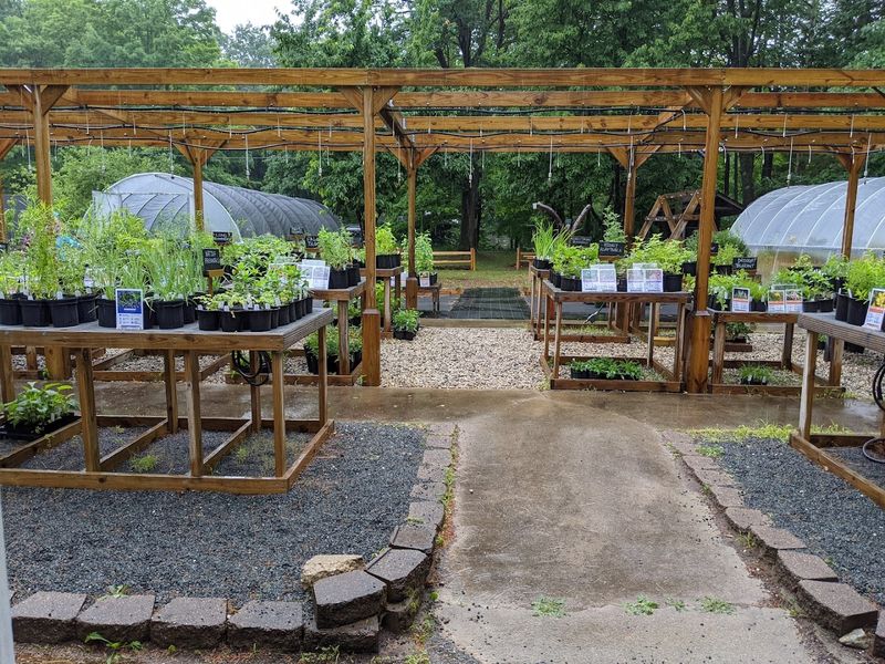 A Plant Selection That Covers All the Bases