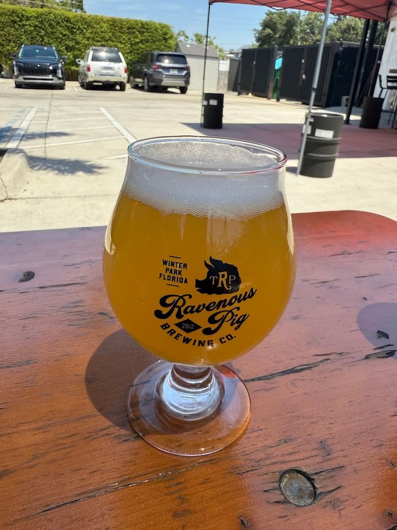 The Beer Garden: A Chill Spot Worth Knowing About