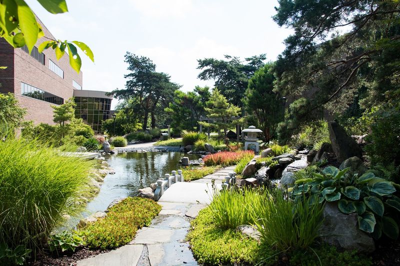 What the Garden Actually Looks Like Inside