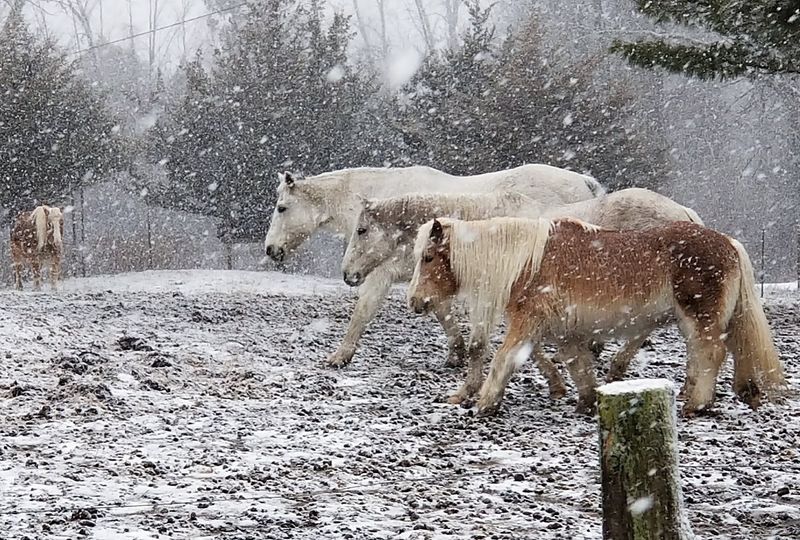 What the Land Feels Like When You First Arrive