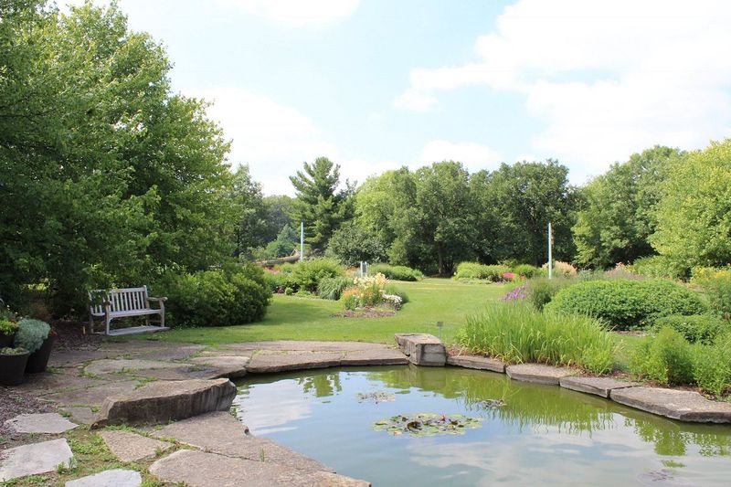 A First Glance That Stops You in Your Tracks