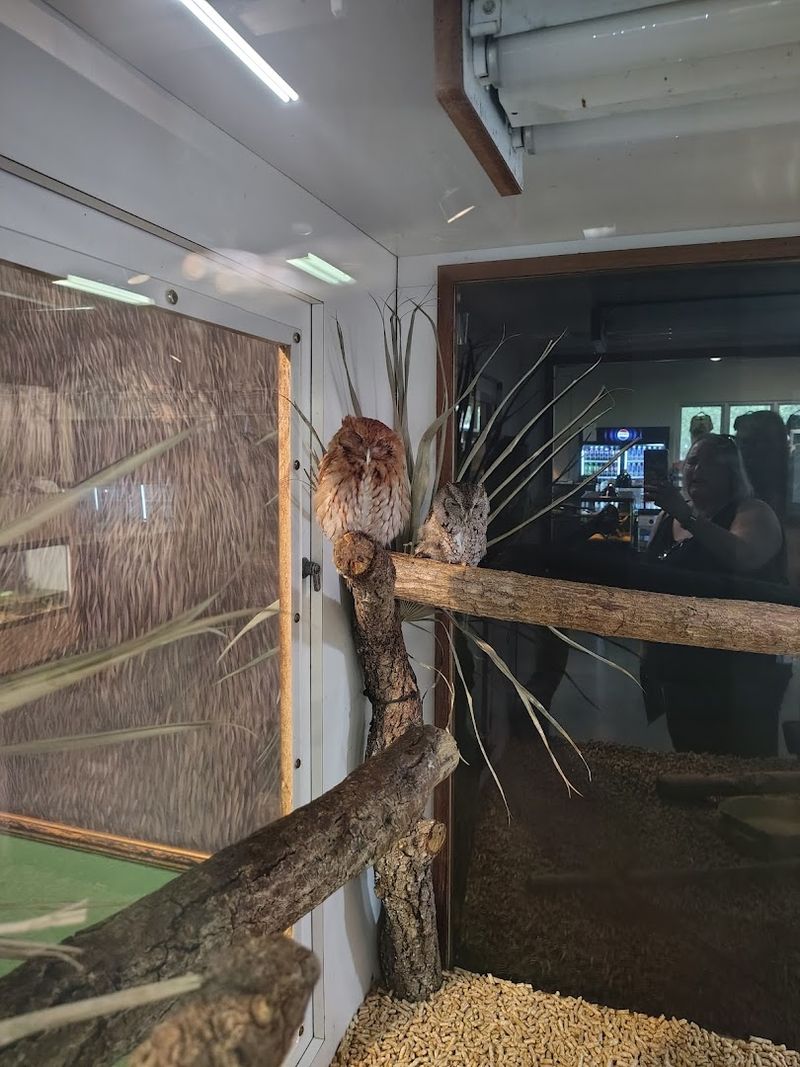 The Main Building: Live Animals and Hands-On Exhibits