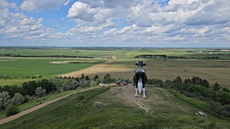 The Drive Up the Hill