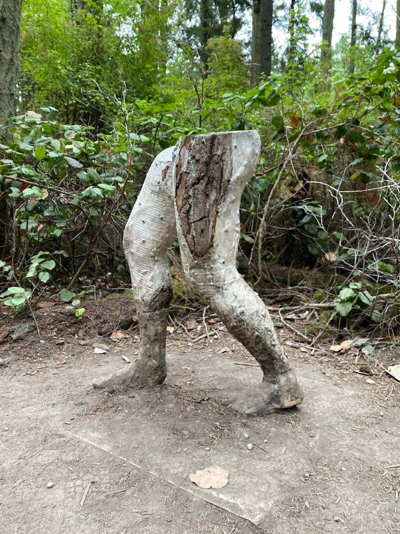 The Trail Itself: What to Expect Underfoot