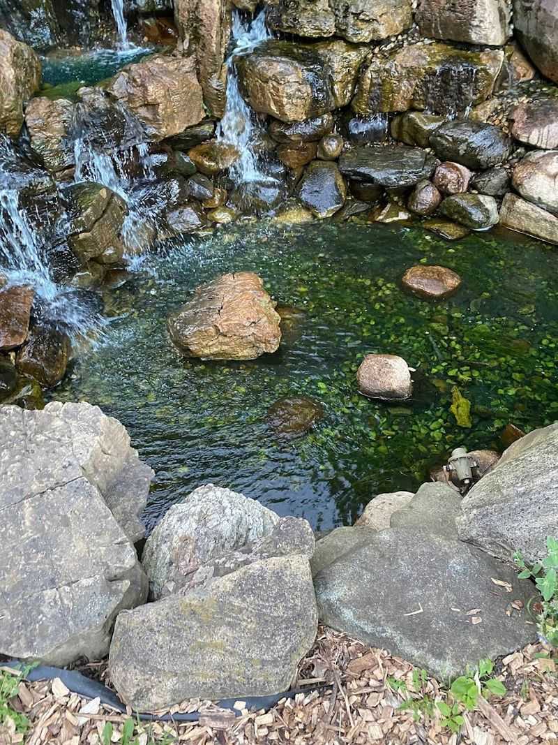 The Waterfall That Stops Everyone in Their Tracks