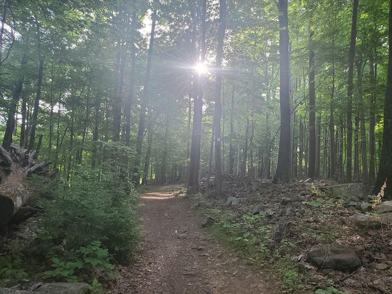A Trail Network Built for Every Kind of Hiker