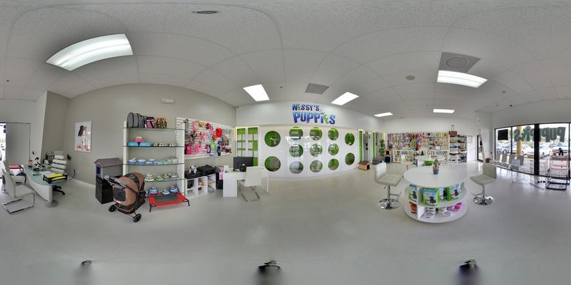 What the Store Looks Like Inside