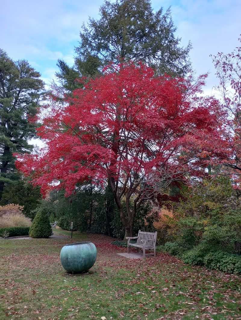 What the Grounds Look Like Beyond Spring