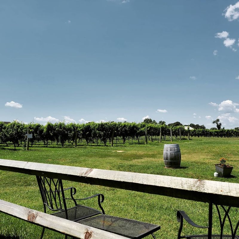 A Setting That Does the Talking