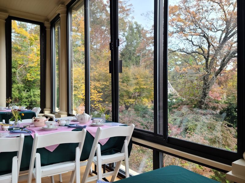 Afternoon Tea in the Historic House