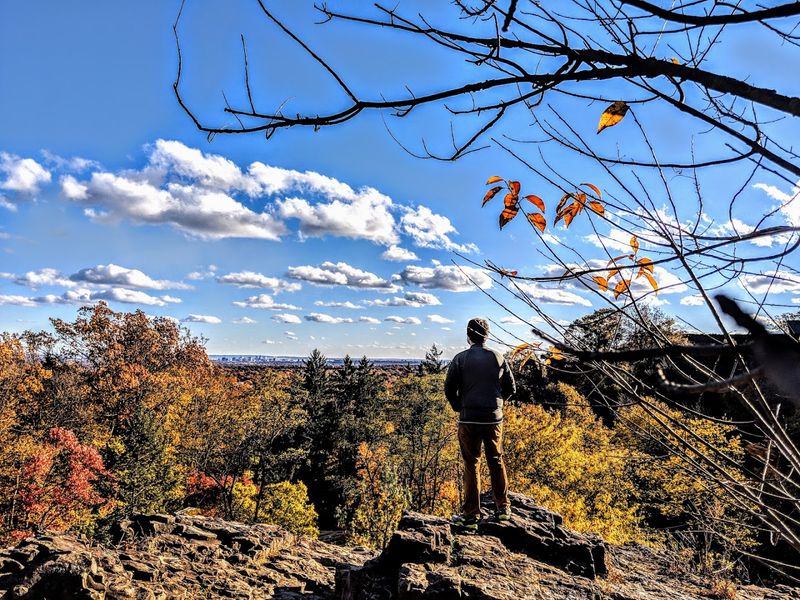 156 Acres That Pack a Real Punch