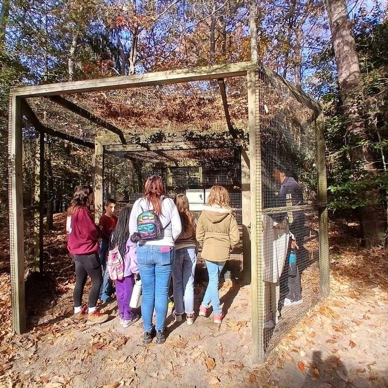 Programs for Schools, Scouts, and Groups