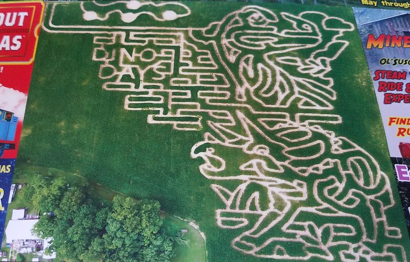 The Corn Maze and Seasonal Add-Ons