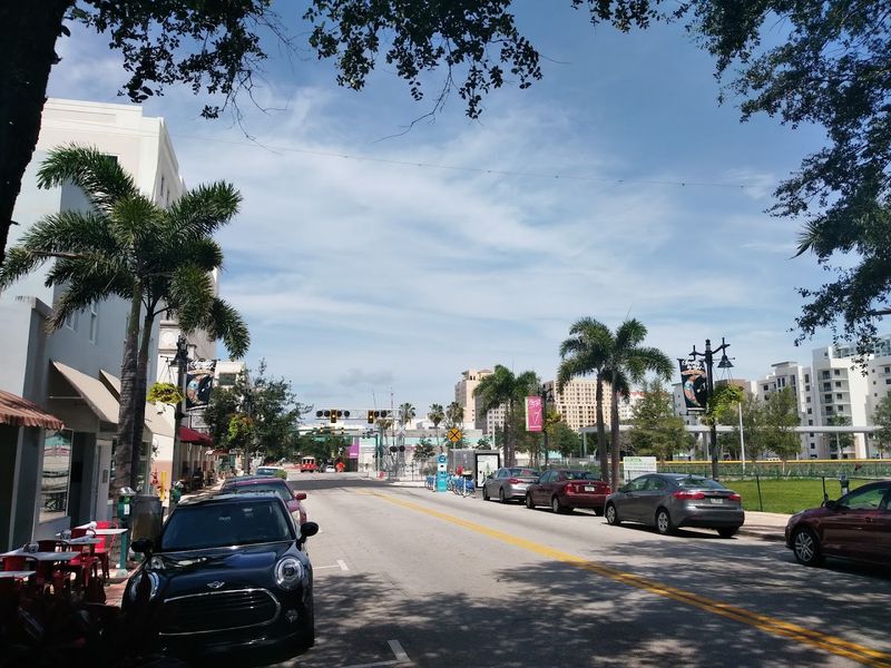 A Brief History of the Street