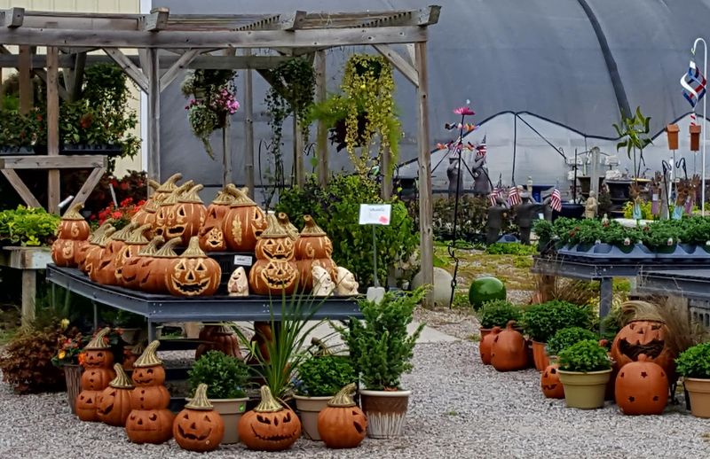 Planters, Pots, and Garden Decor Worth Hunting Through