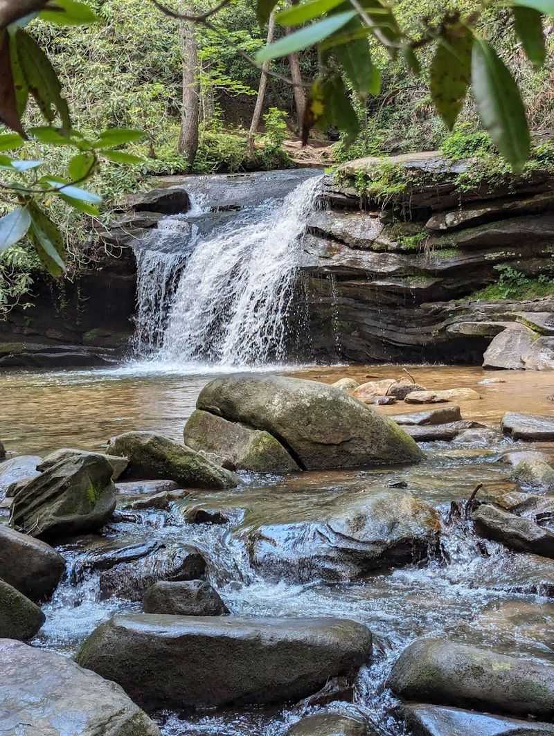 Carrick Creek Loop: The Waterfall Hike That Steals Hearts