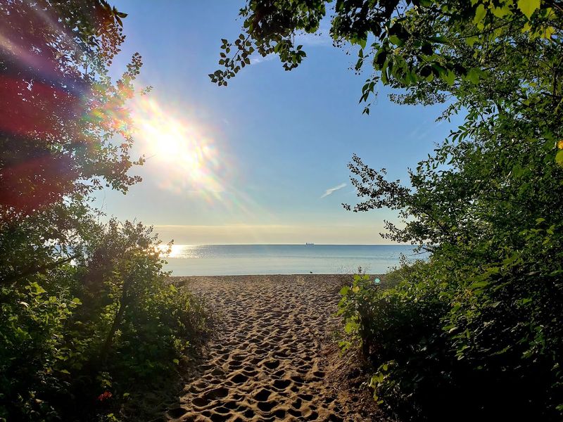 Picnic Areas, Grills, and a Full Day of Food