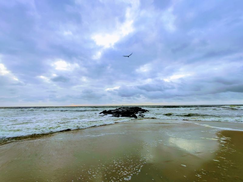 Shipwrecks Offshore and the History Beneath the Waves
