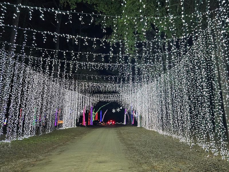 Art Installations and Festival Aesthetics