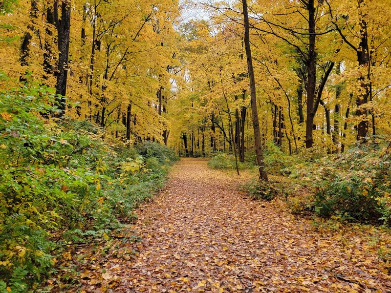 Trail Conditions And What To Expect Underfoot