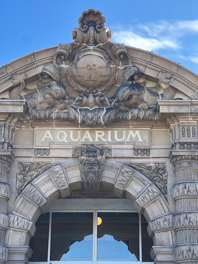 Free Admission Still Deserves a Little Planning