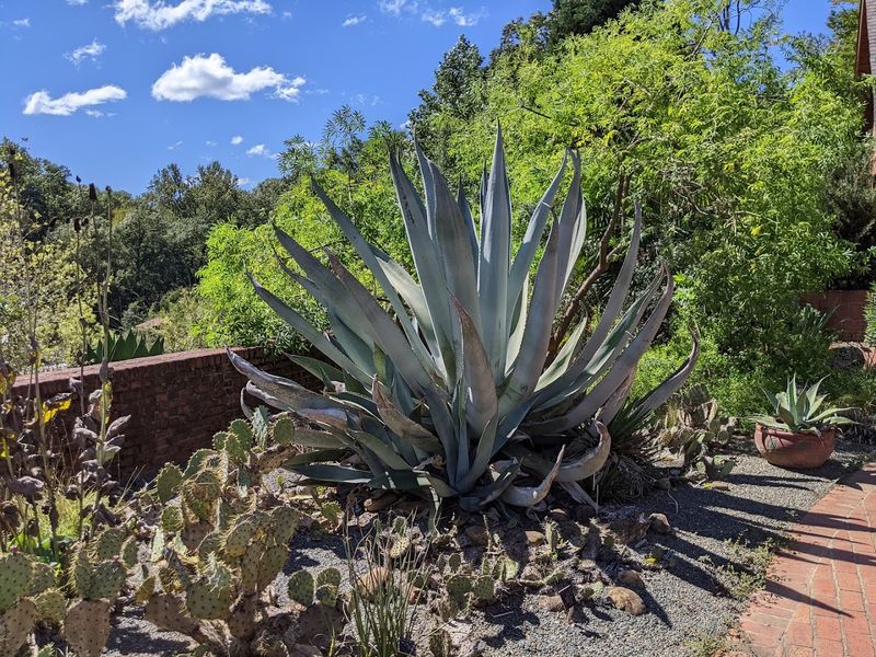 The Bob Campbell Geology Museum: A Surprise Underground World