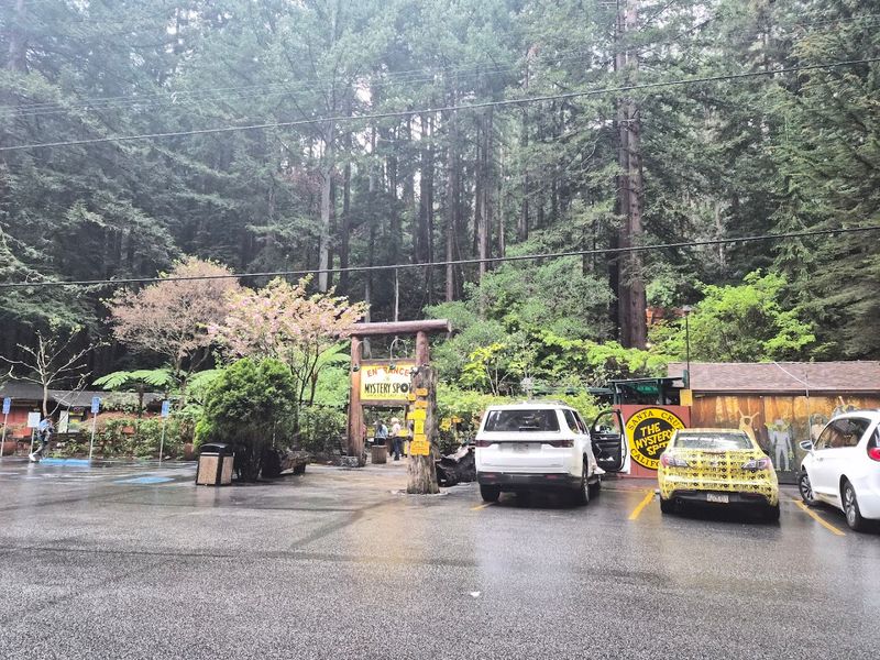 The Mystery Spot, Santa Cruz, California